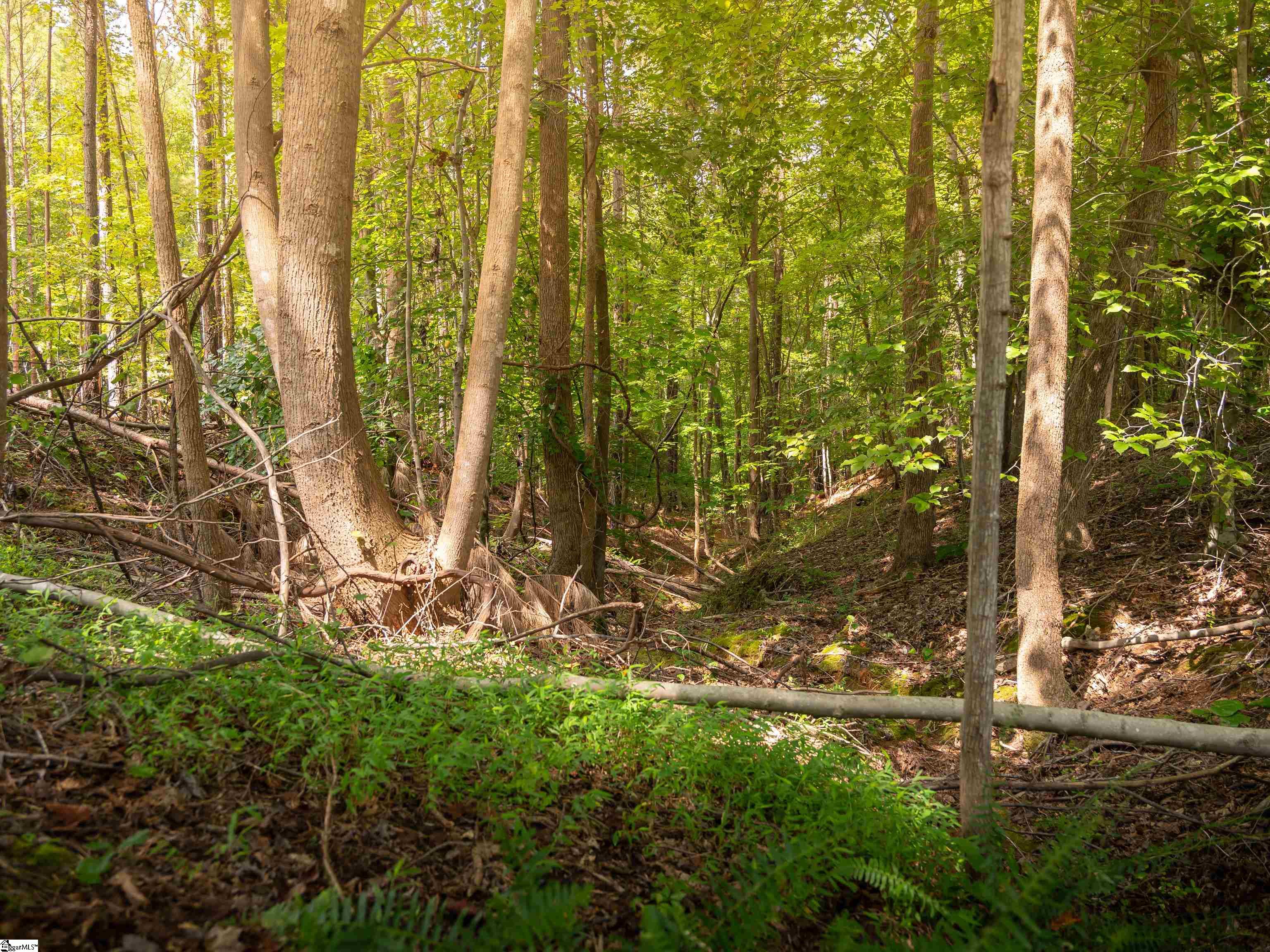 2 Neal Shoals Road Union, SC 29379 - Photo 47 of 47