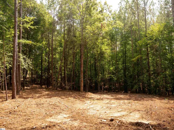 $35,000 | 2 Neal Shoals Road, Union, SC 29379