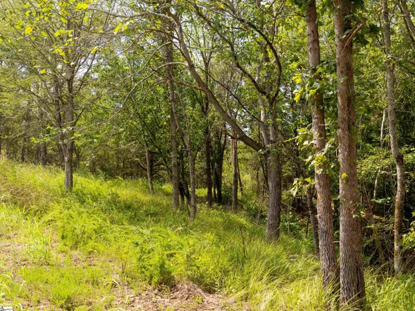 $35,000 | 2 Neal Shoals Road, Union, SC 29379