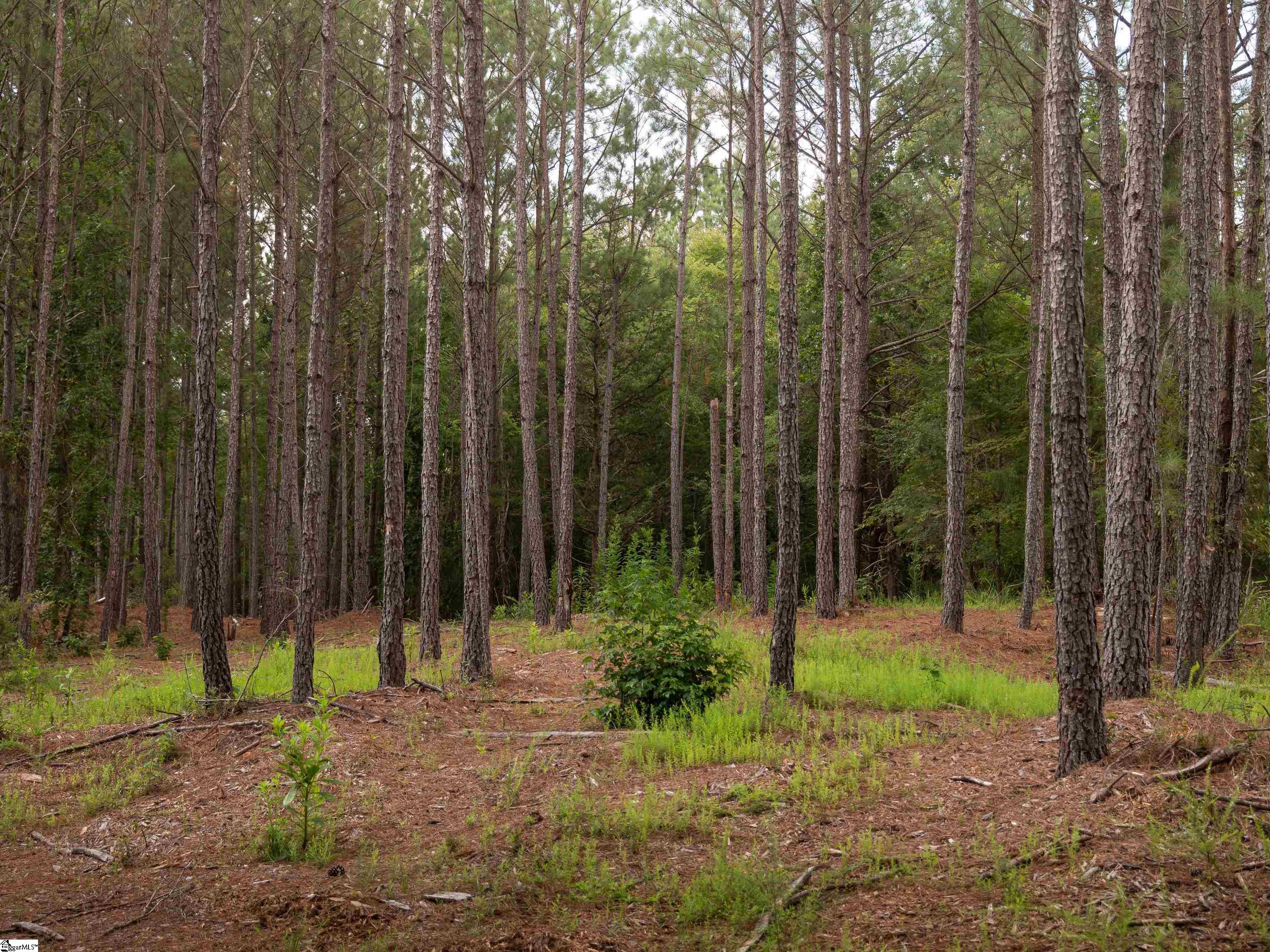 2 Neal Shoals Road Union, SC 29379 - Photo 9 of 47