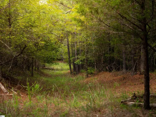 $35,000 | 2 Neal Shoals Road, Union, SC 29379