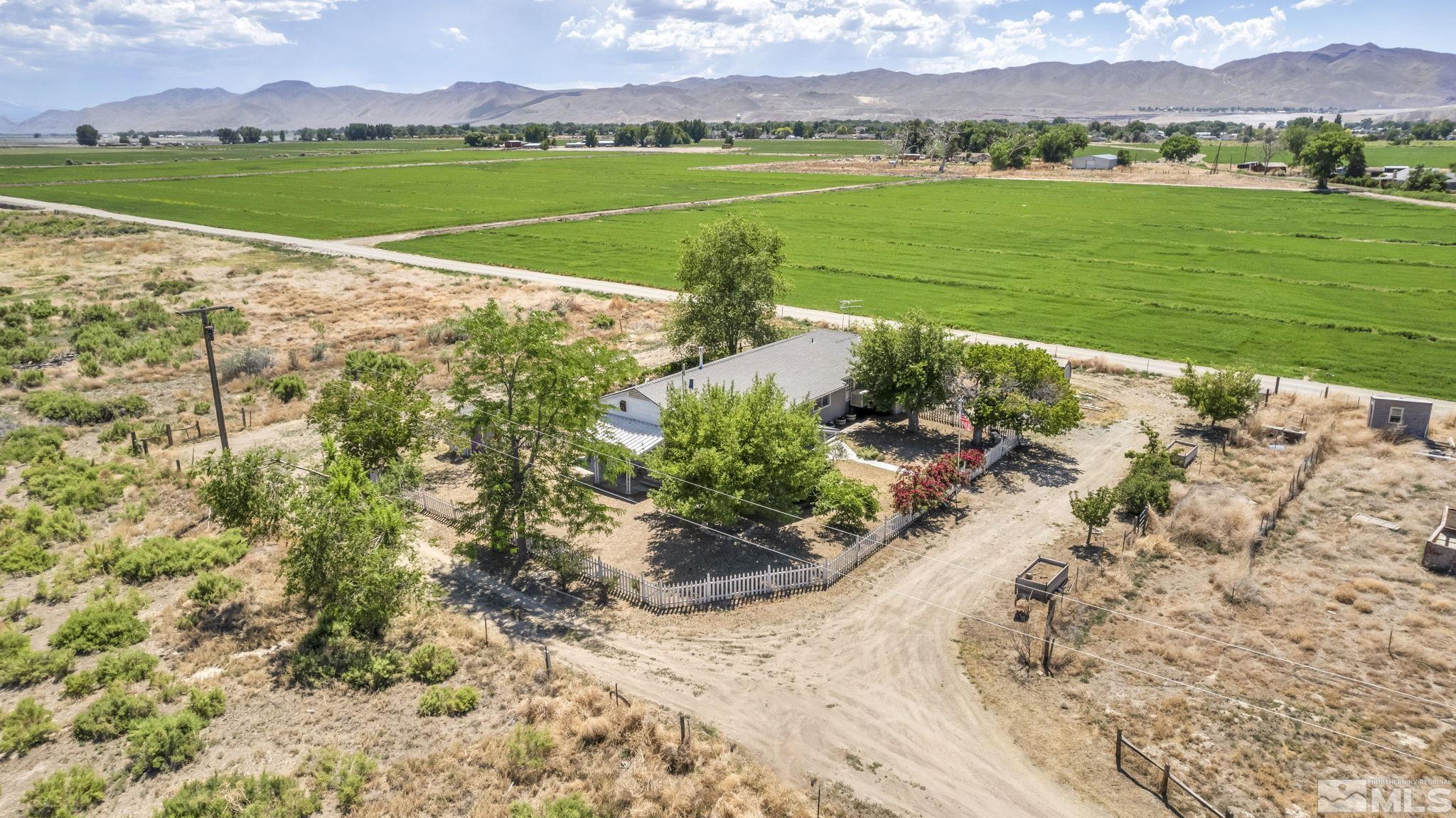 95 East Hwy 95a Yerington, NV 89447 - Photo 14 of 35 a view of a field with a big yard