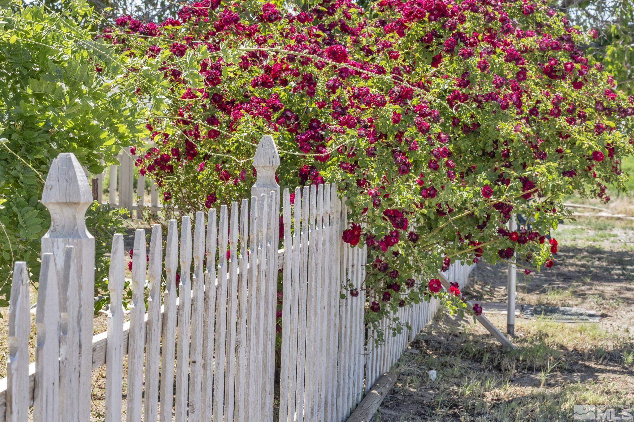 95 East Hwy 95a Yerington, NV 89447 - Photo 6 of 35