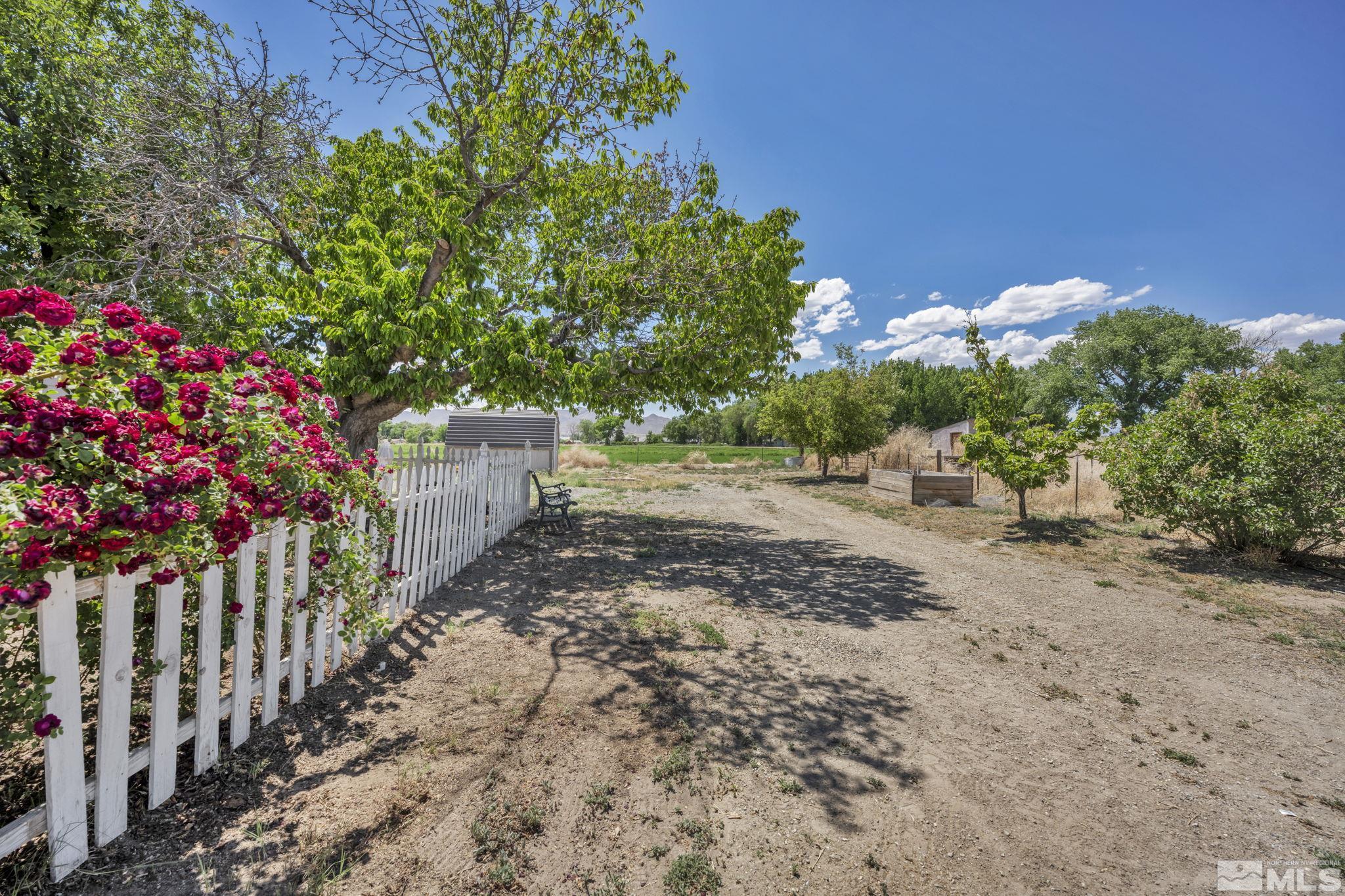 95 East Hwy 95a Yerington, NV 89447 - Photo 7 of 35 a picture of flowers