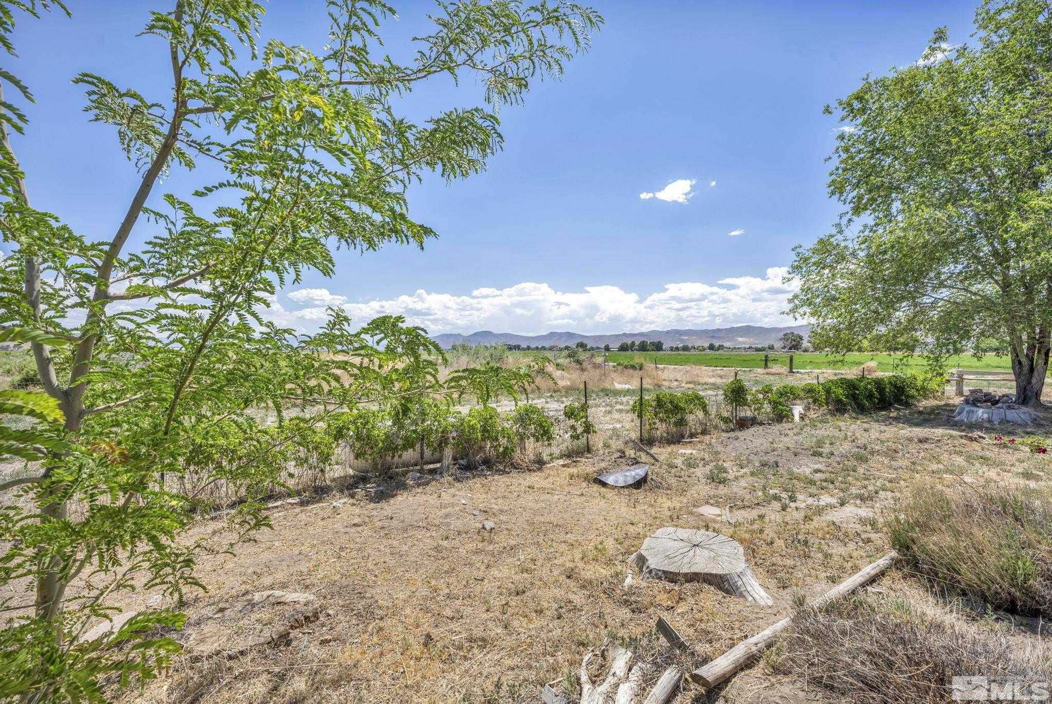 95 East Hwy 95a Yerington, NV 89447 - Photo 10 of 35 a view of a outdoor space