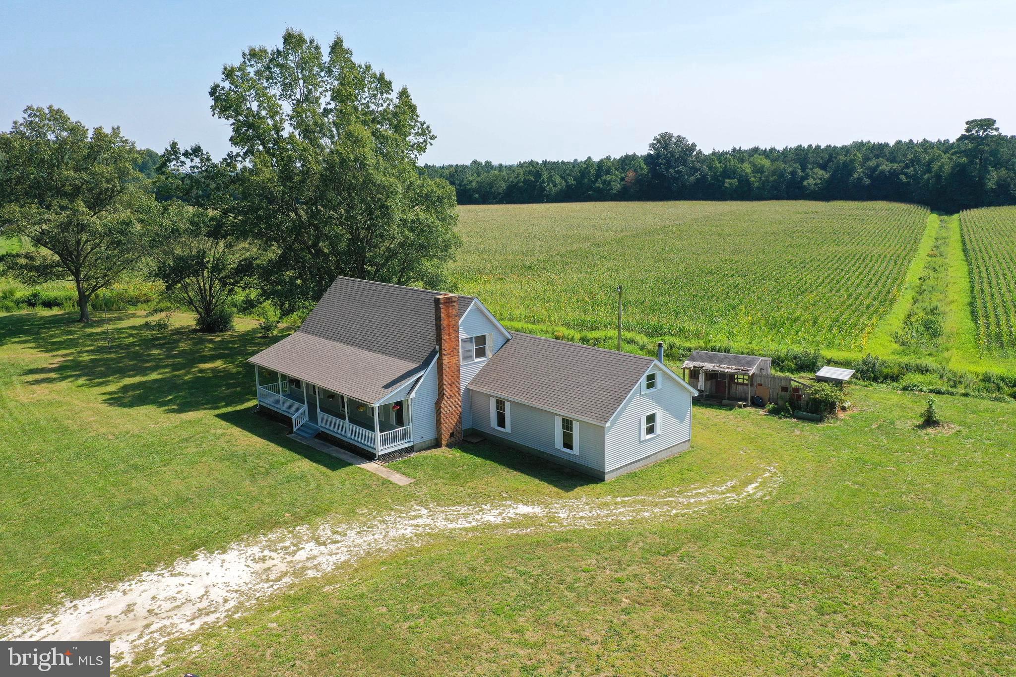 35305 Poplar Neck Road Pittsville, MD 21850 - Photo 1 of 38 Gallery Image 1