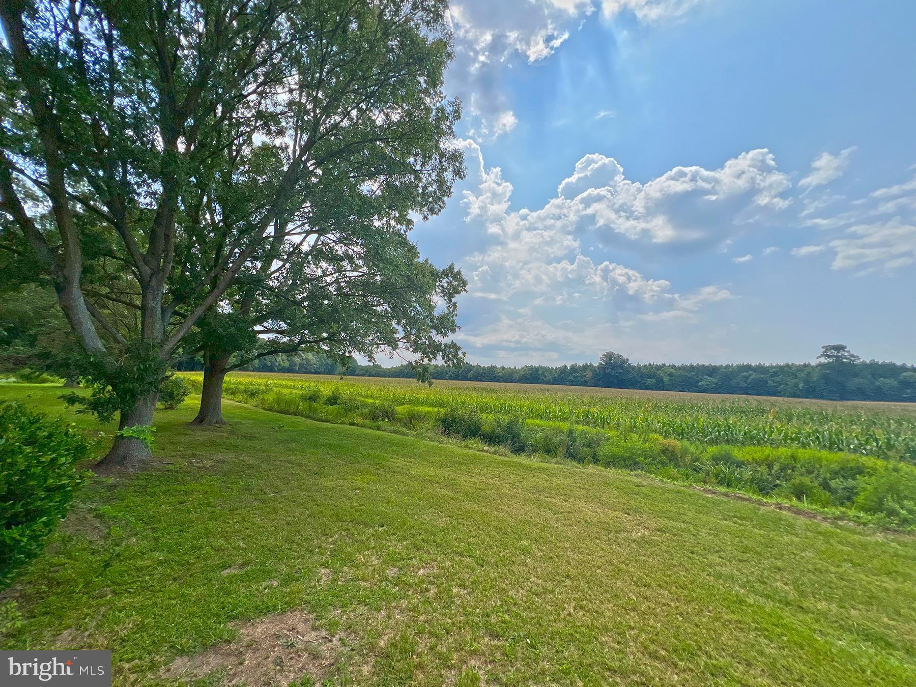 35305 Poplar Neck Road Pittsville, MD 21850 - Photo 5 of 38 Gallery Image 5