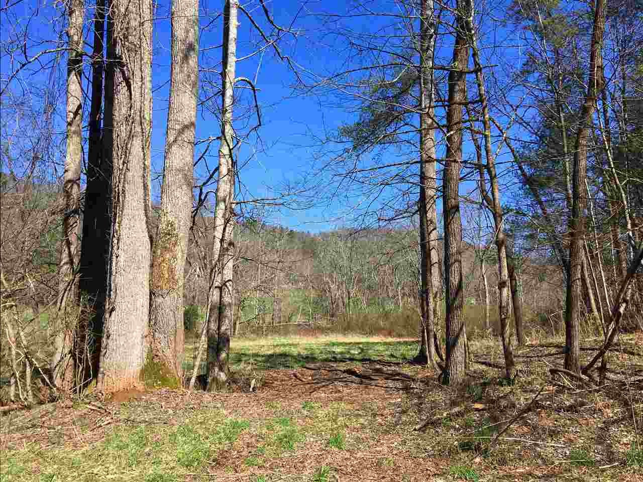 0 Towee Pike Reliance, TN 37369 - Photo 14 of 41