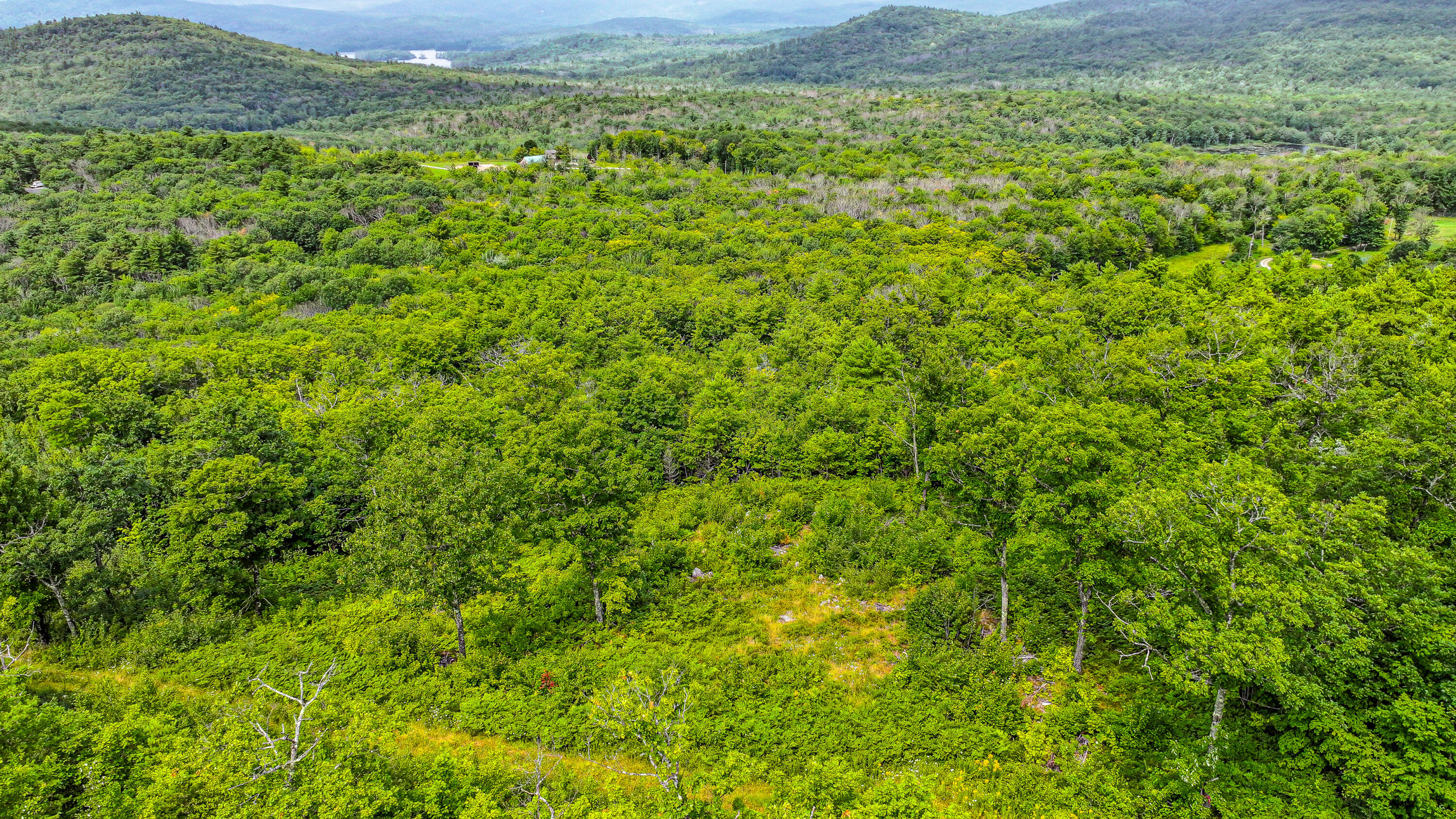 Lot B Mine Road Stoneham, ME 04231 - Photo 2 of 8 mine road-34