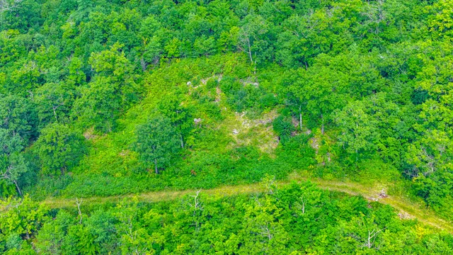 $349,900 | Lot B Mine Road, Stoneham, ME 04231