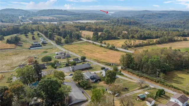 a view of a forest with a lake