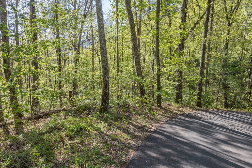 111 Hatcher Mountain Road Sevierville, TN 37862 - Photo 4 of 7