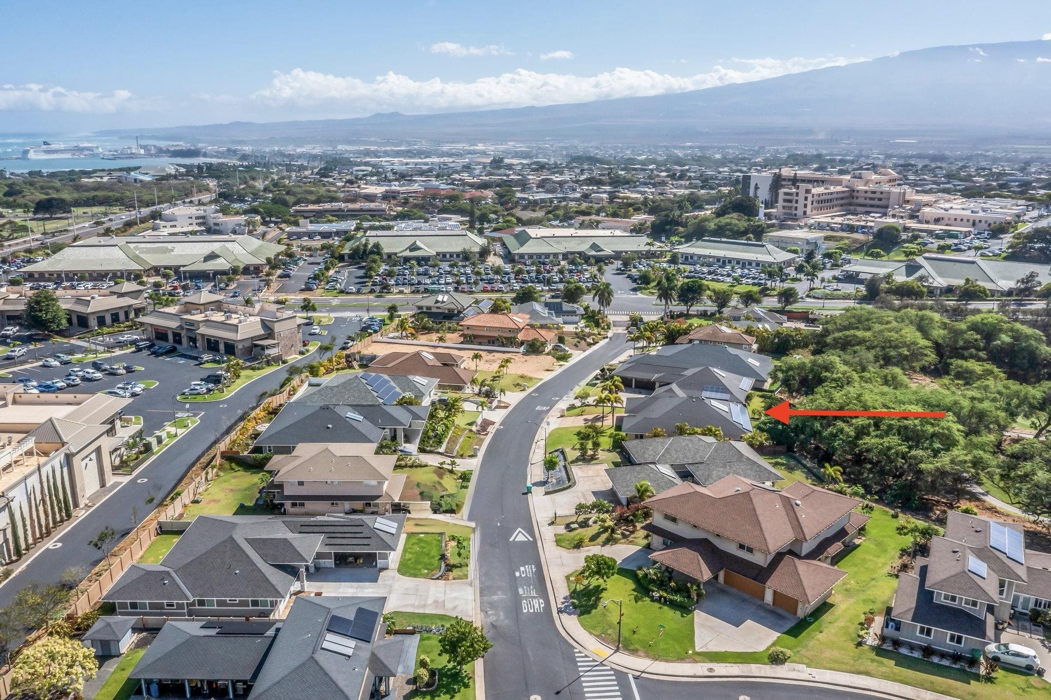 33 Keoneloa Street Wailuku, HI 96793 - Photo 39 of 40 an aerial view of a city with lots of residential buildings