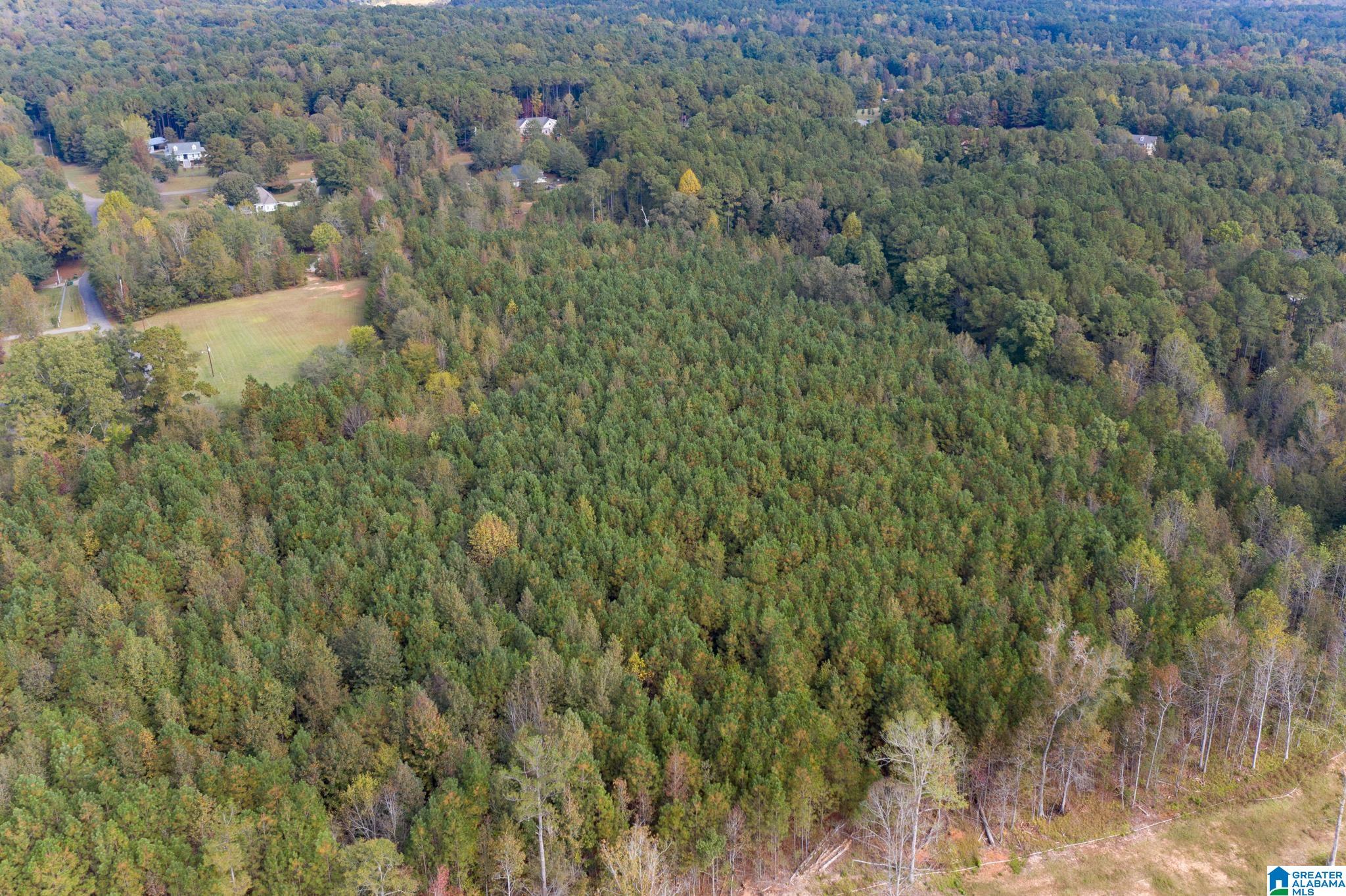 0 Olde S Spur McCalla, AL 35111 - Photo 9 of 25