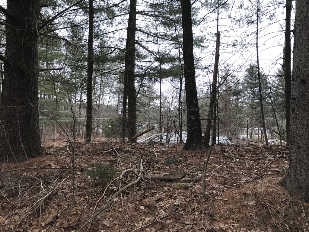 99 Bethany Road Monson, MA 01057 - Photo 13 of 16 Gallery Image 13