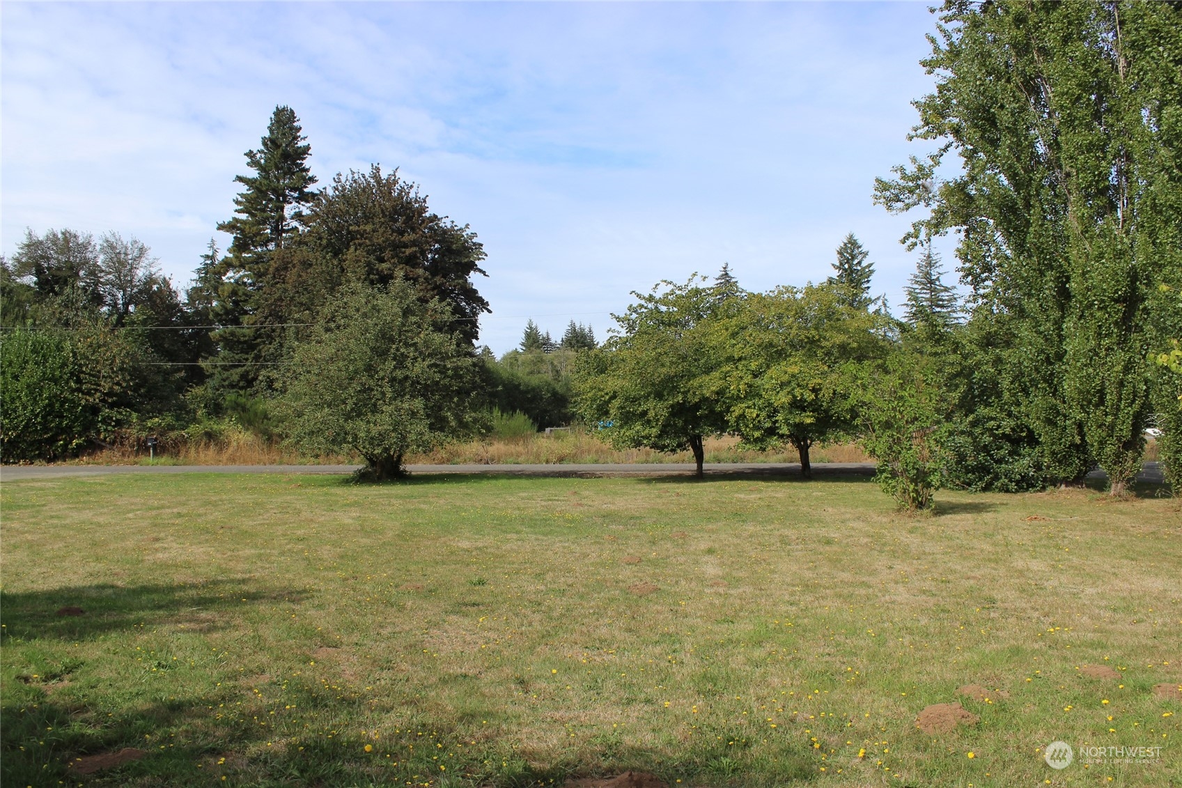 30 Alfredson Road Oakville, WA 98568 - Photo 18 of 40 Gallery Image 18
