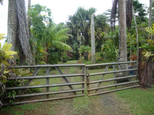 6569A Puupilo Road Kapaa, HI 96746 - Photo 15 of 16