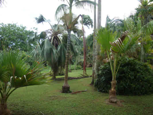 6569A Puupilo Road Kapaa, HI 96746 - Photo 16 of 16