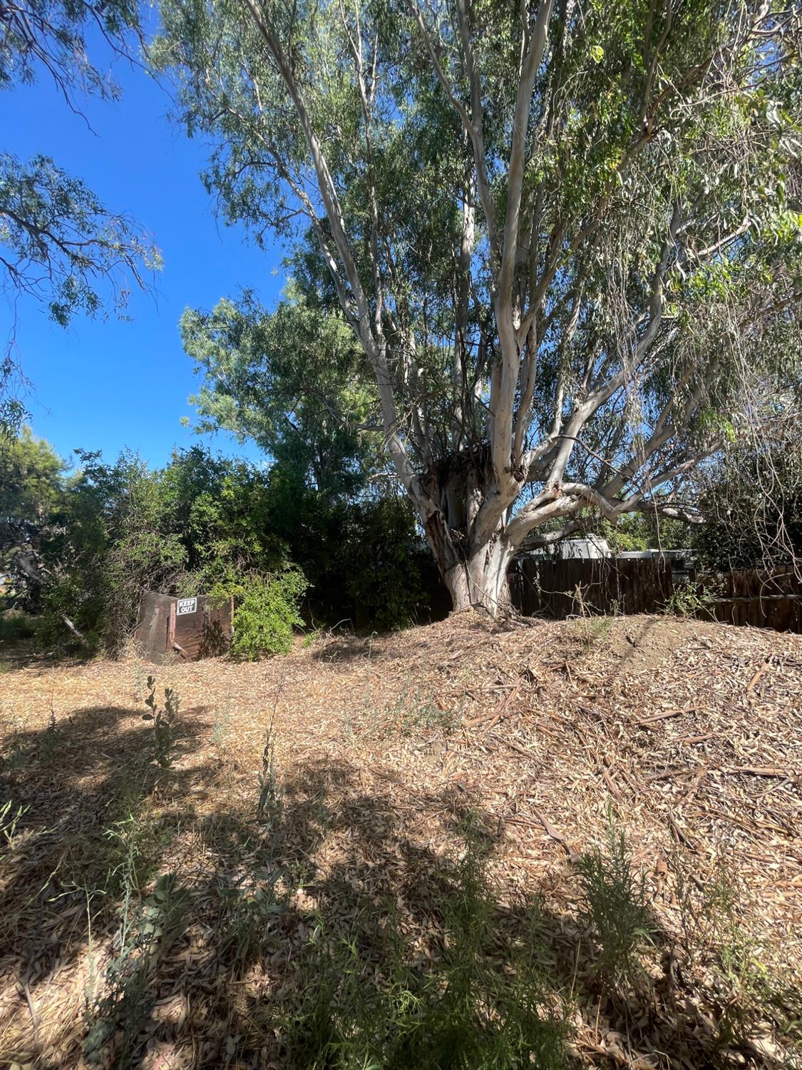 0 9th Street Williams, CA 95987 - Photo 9 of 9