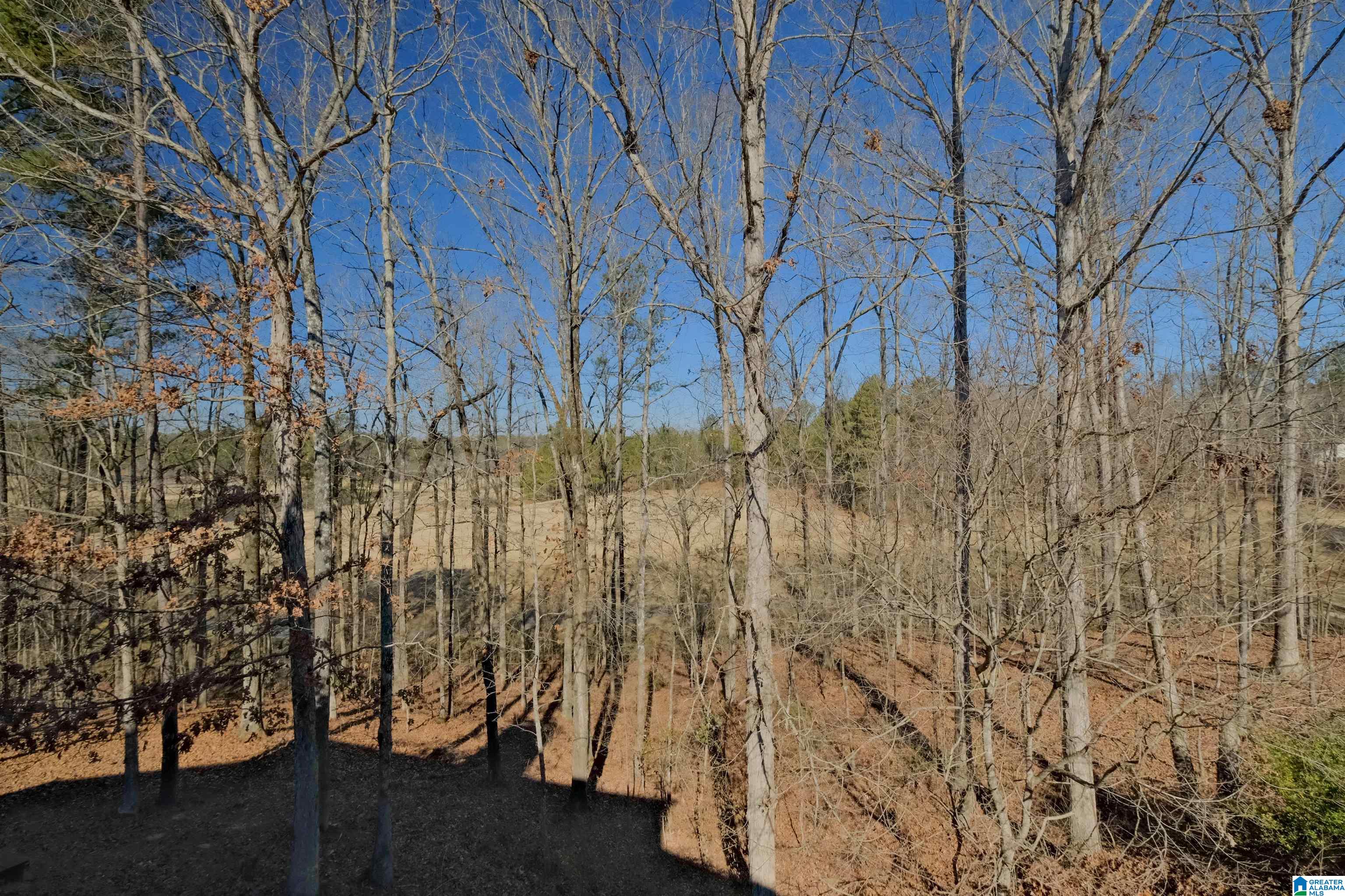 522 Timberline Trail Calera, AL 35040 - Photo 37 of 43