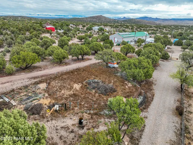 a view of a dry yard with trees