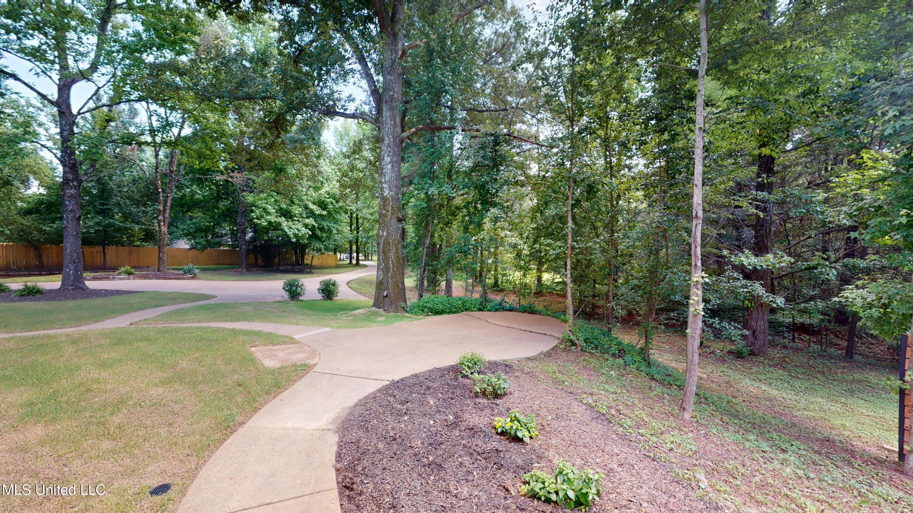 3740 Pleasant Hill Road Nesbit, MS 38651 - Photo 56 of 59 3740-Pleasant-Hill-Rd-06122025_104848