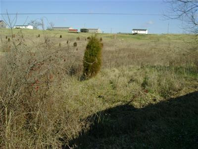 22 High Bridge Road Lancaster, KY 40444 - Photo 1 of 1 Photo 1