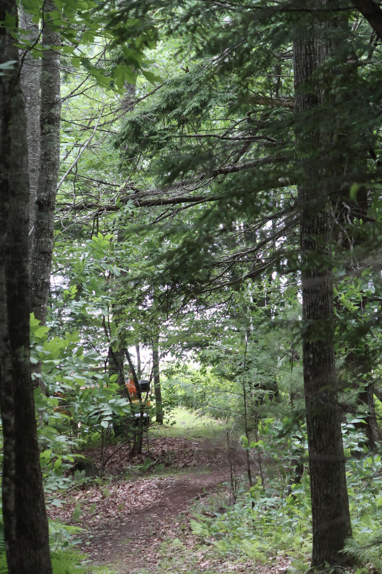 16 Lovejoy Lane Readfield, ME 04355 - Photo 12 of 63