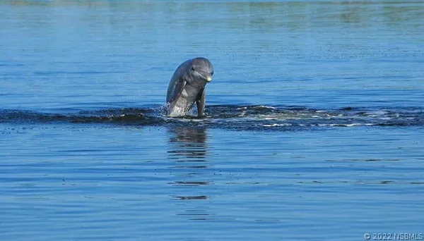 a view of a ocean view