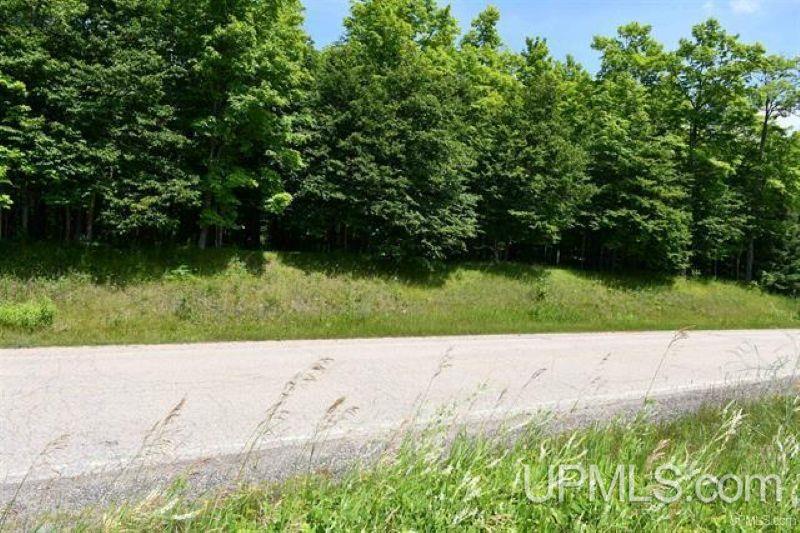 Lot#25 Fordville Road Foster City, MI 49834 - Photo 26 of 27