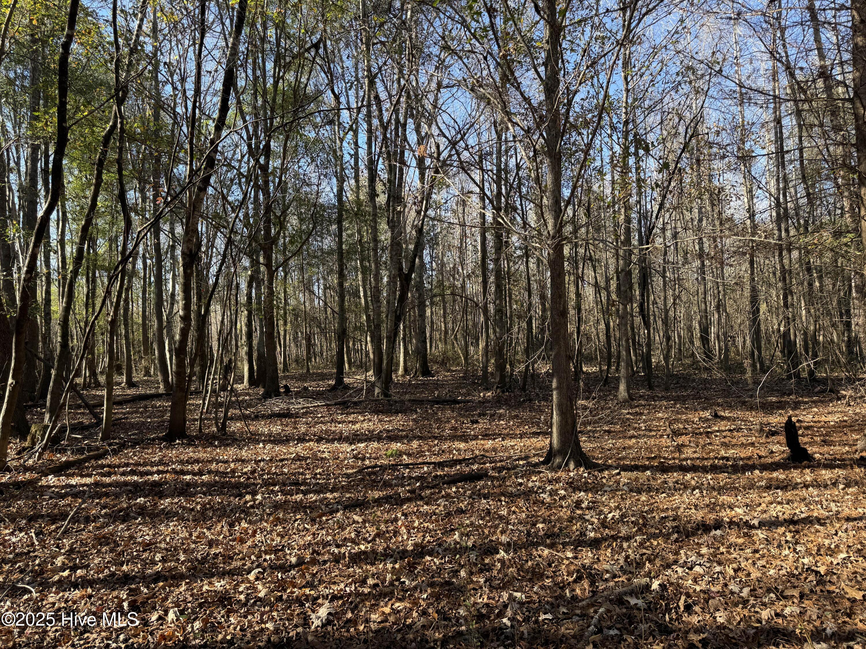0 Macedonia Church Road Evergreen, NC 28438 - Photo 30 of 34 Image 30