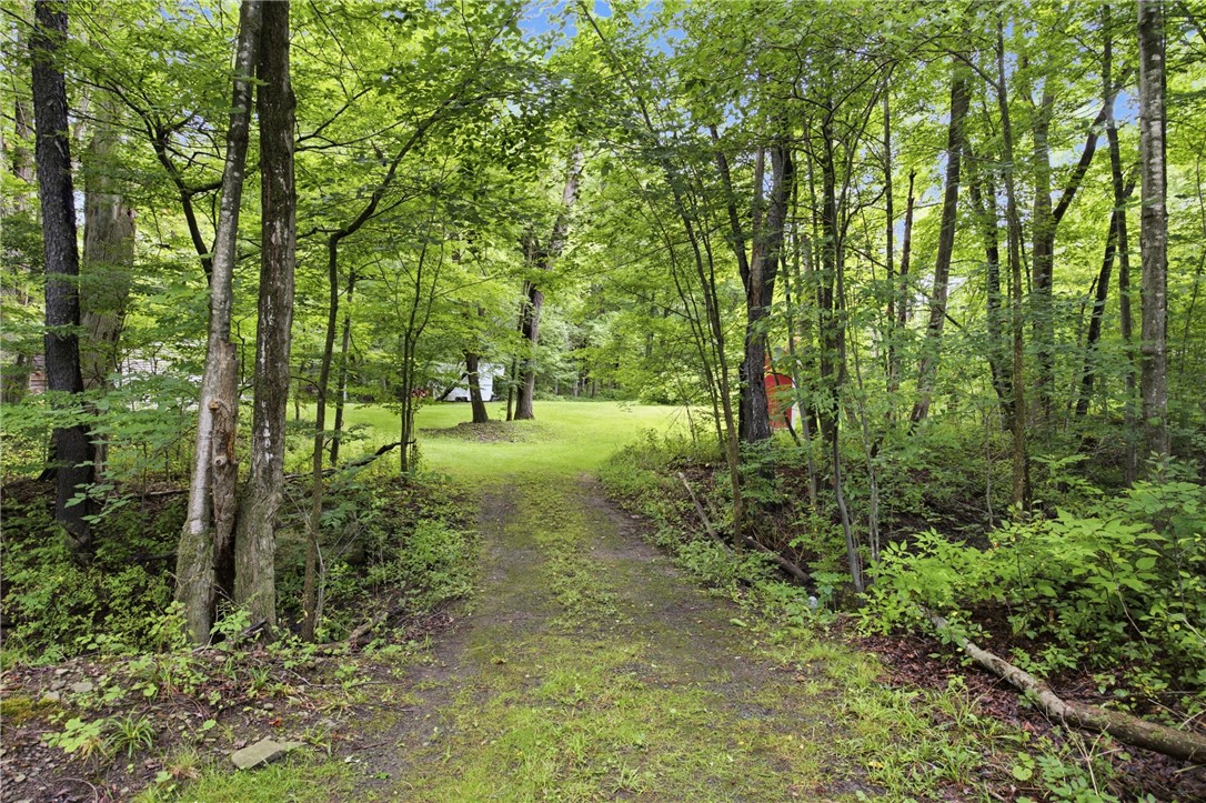 7843 Williams Road Prattsburgh, NY 14873 - Photo 21 of 35 Gallery Image 21