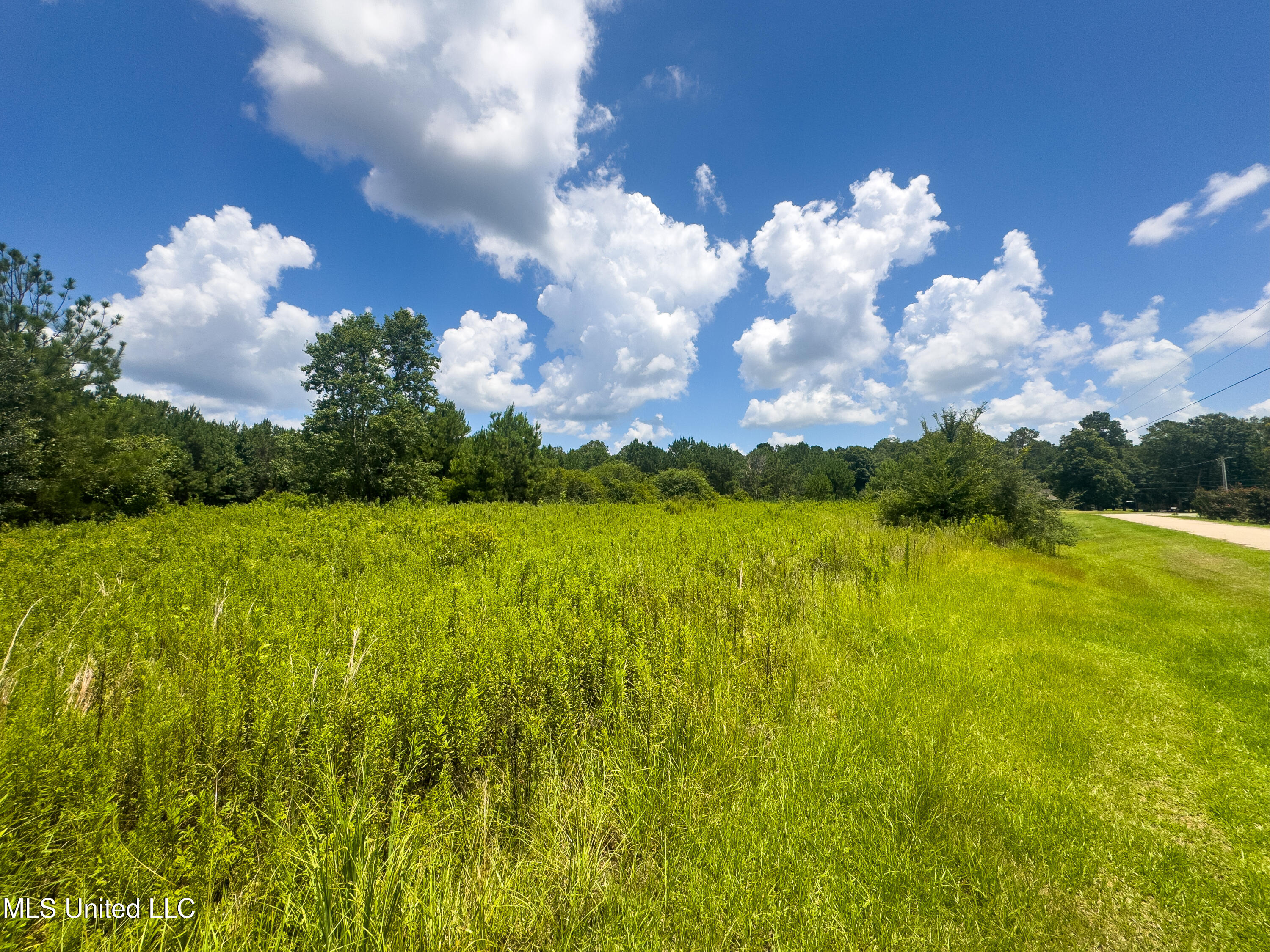 Ms-43 Poplarville, MS 39470 - Photo 2 of 7 IMG_0840