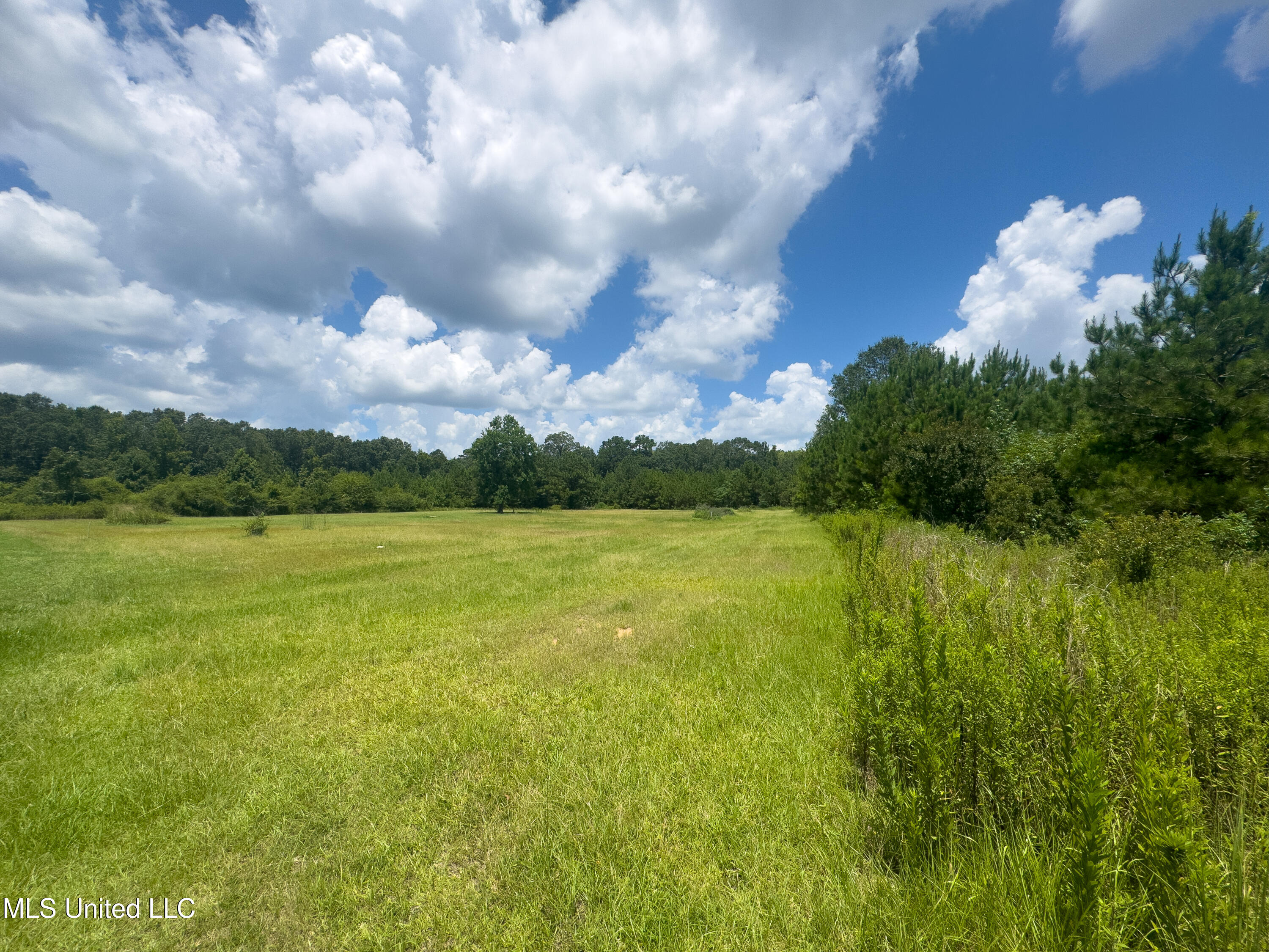 Ms-43 Poplarville, MS 39470 - Photo 3 of 7 IMG_0843