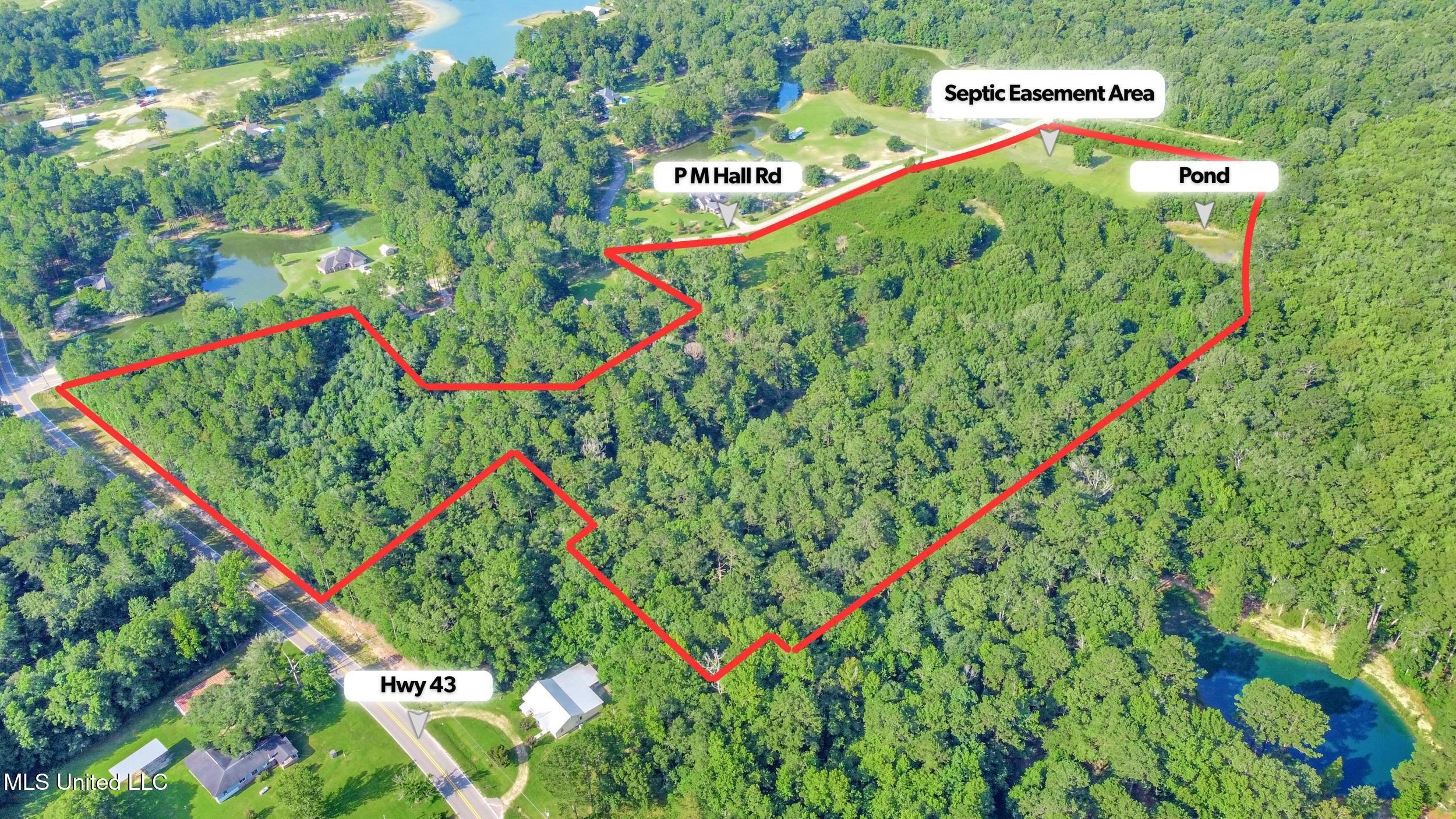 Ms-43 Poplarville, MS 39470 - Photo 6 of 7 north east shot color.png