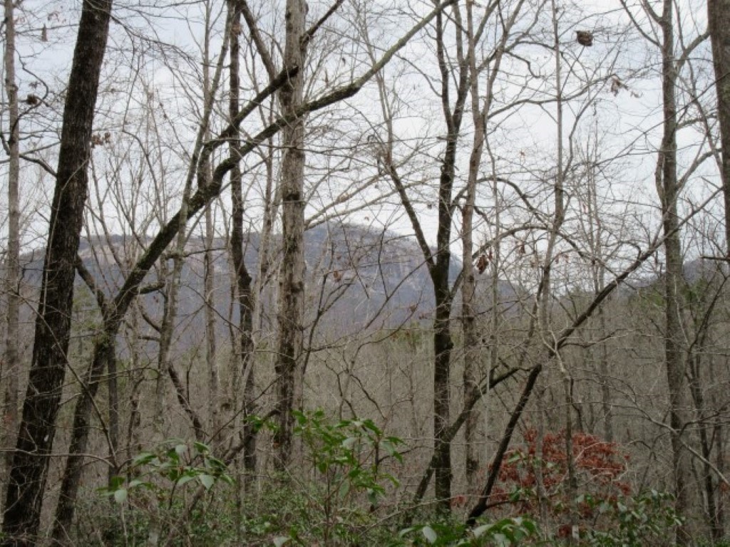 0 Ashtabula Road Pickens, SC 29671 - Photo 13 of 27 Gallery Image 13