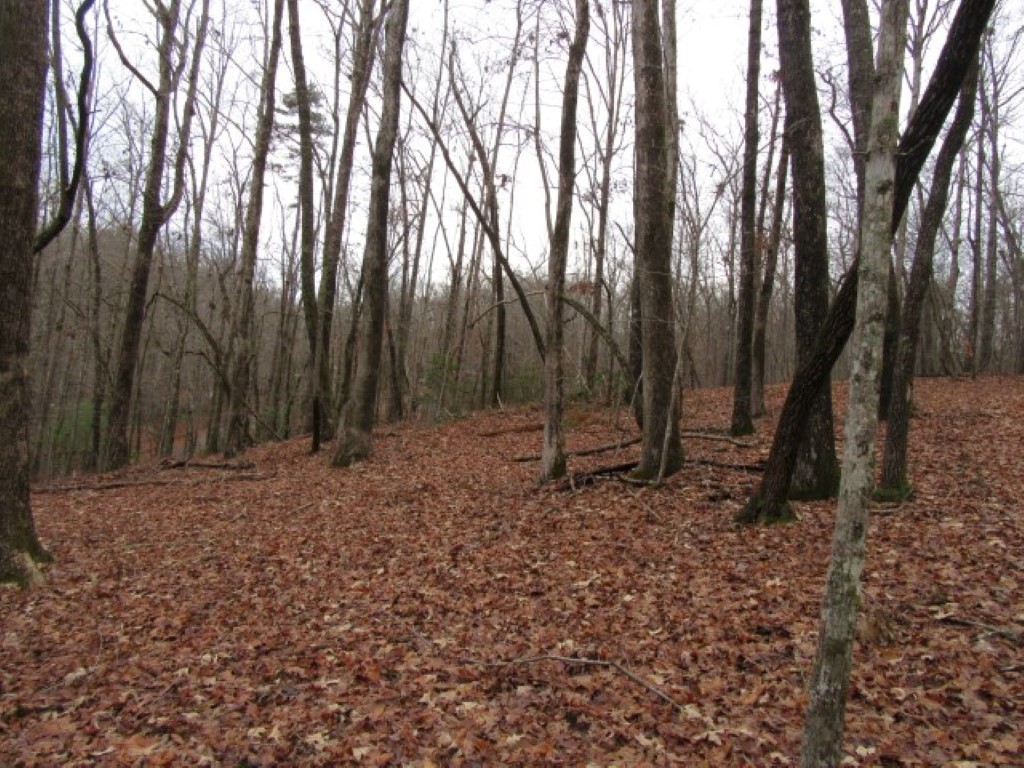 0 Ashtabula Road Pickens, SC 29671 - Photo 19 of 27 Gallery Image 19