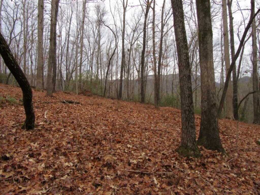 0 Ashtabula Road Pickens, SC 29671 - Photo 20 of 27 Gallery Image 20