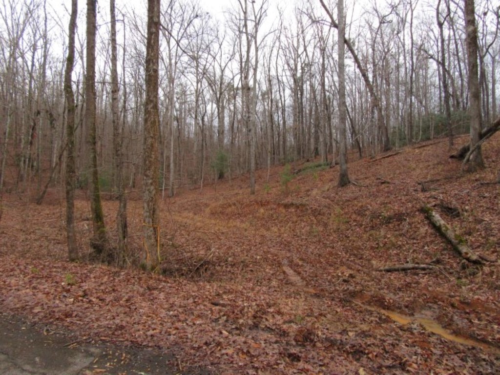 0 Ashtabula Road Pickens, SC 29671 - Photo 2 of 27 Gallery Image 2