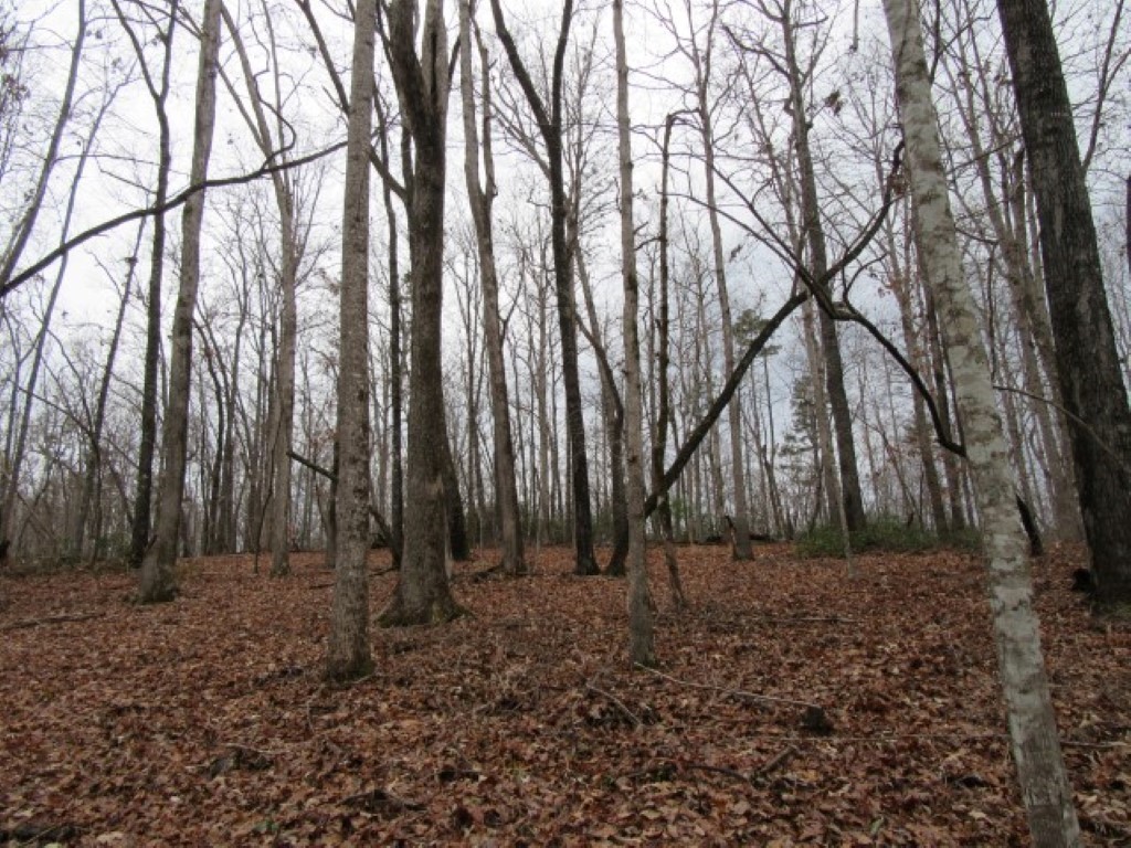 0 Ashtabula Road Pickens, SC 29671 - Photo 21 of 27 Gallery Image 21