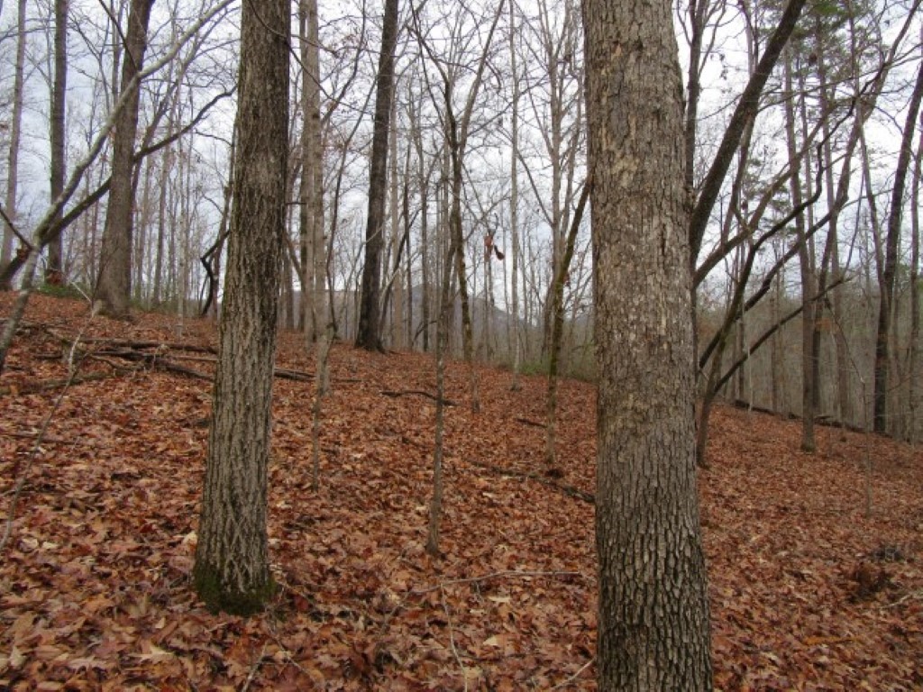 0 Ashtabula Road Pickens, SC 29671 - Photo 23 of 27 Gallery Image 23