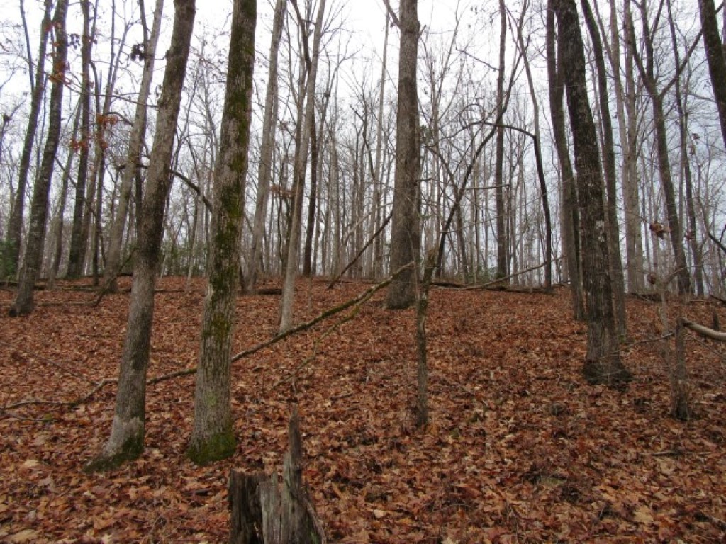 0 Ashtabula Road Pickens, SC 29671 - Photo 25 of 27 Gallery Image 25