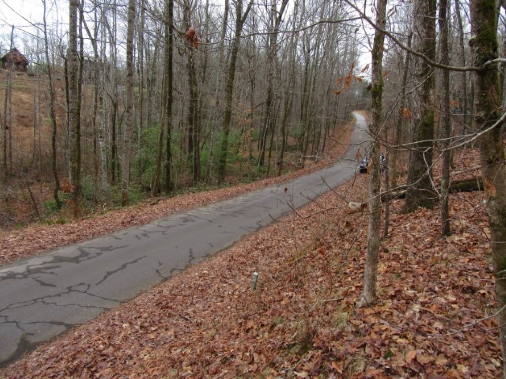 0 Ashtabula Road Pickens, SC 29671 - Photo 27 of 27 Gallery Image 27