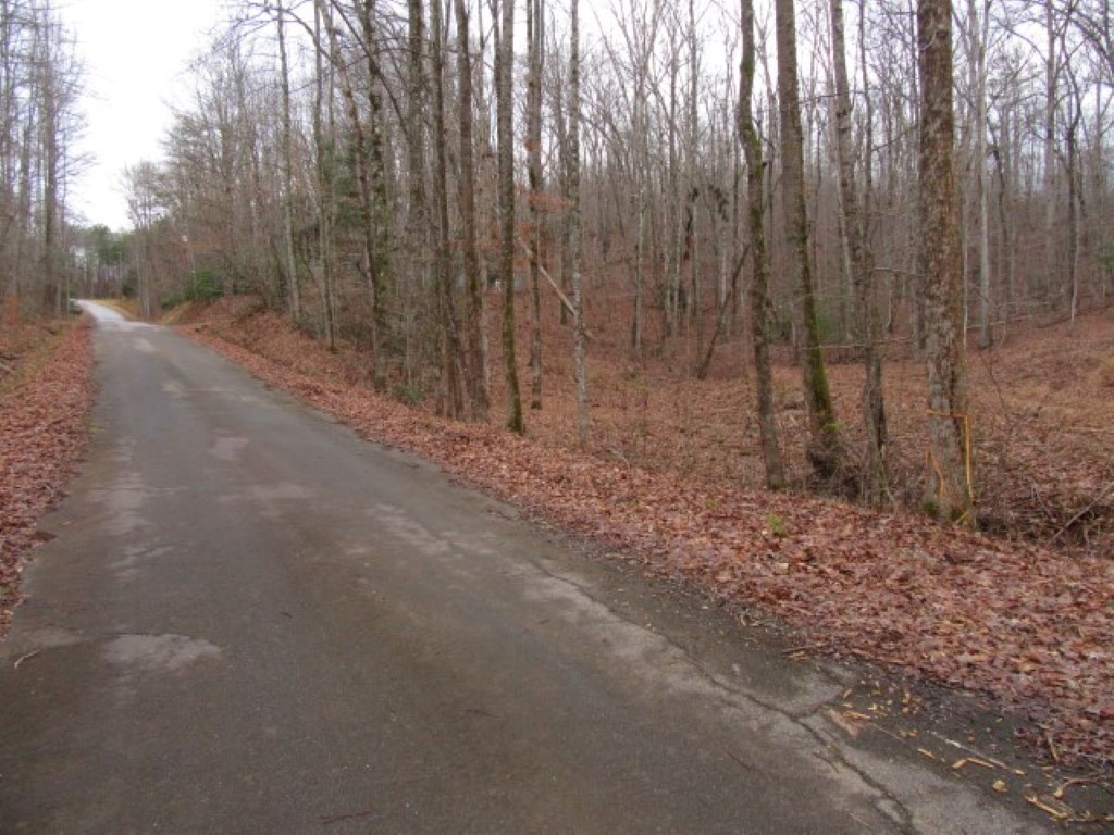0 Ashtabula Road Pickens, SC 29671 - Photo 3 of 27 Gallery Image 3
