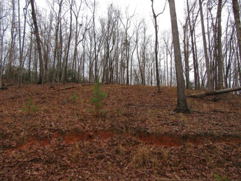 0 Ashtabula Road Pickens, SC 29671 - Photo 4 of 27 Gallery Image 4