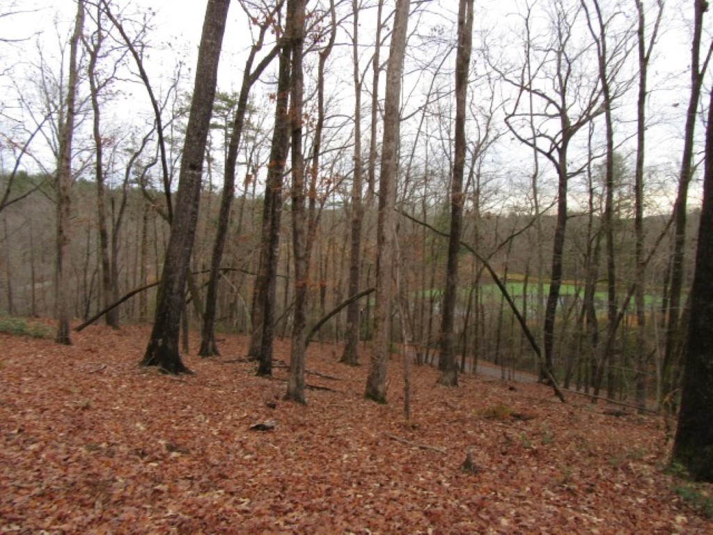 0 Ashtabula Road Pickens, SC 29671 - Photo 7 of 27 Gallery Image 7