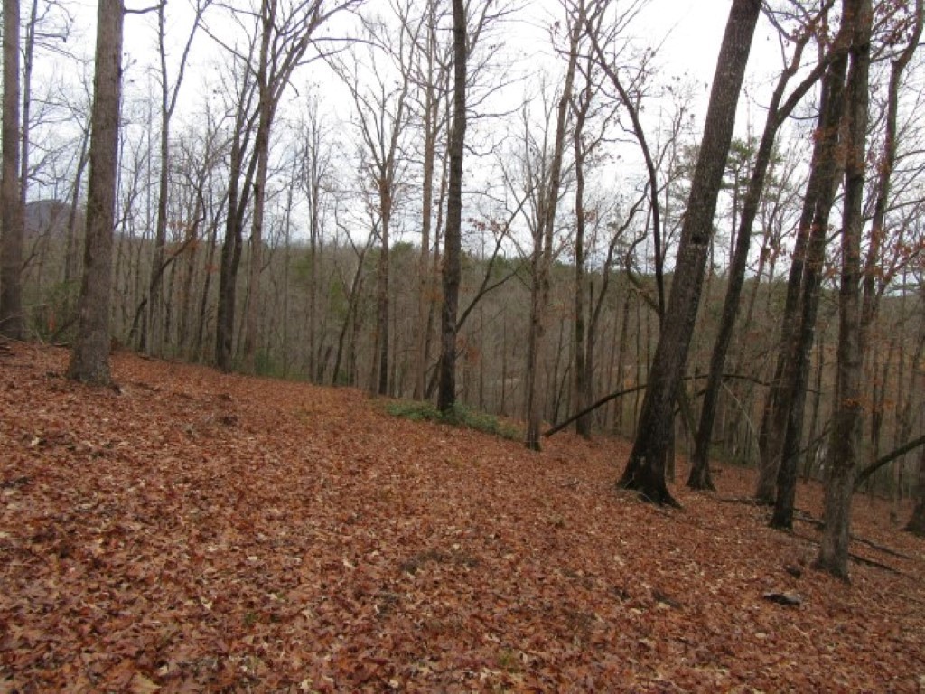 0 Ashtabula Road Pickens, SC 29671 - Photo 8 of 27 Gallery Image 8