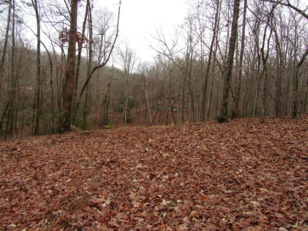 0 Ashtabula Road Pickens, SC 29671 - Photo 9 of 27 Gallery Image 9