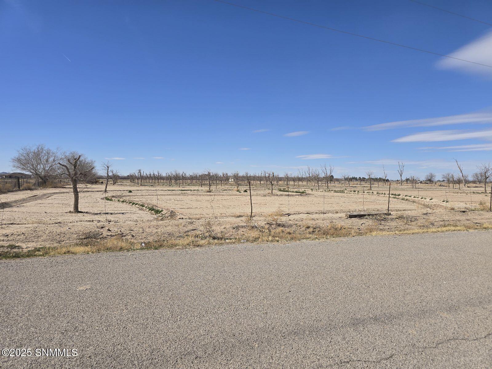 505 Palomino Road Vado, NM 88072 - Photo 1 of 1 1000033092