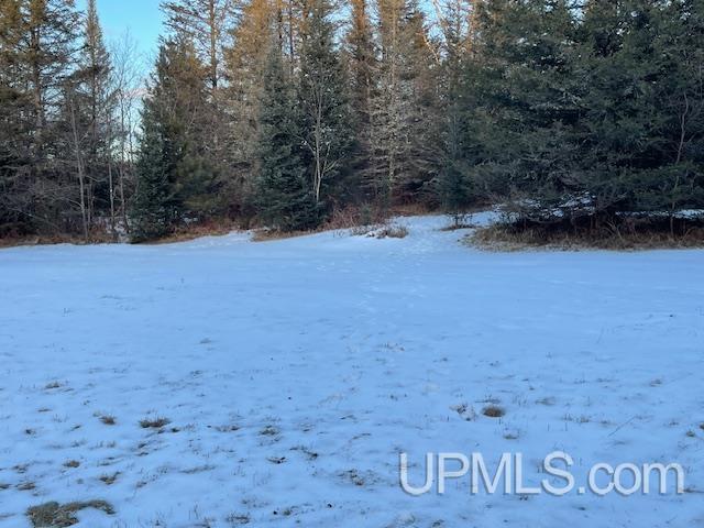 11812 East Howen Road Long Lake, WI 54542 - Photo 15 of 20